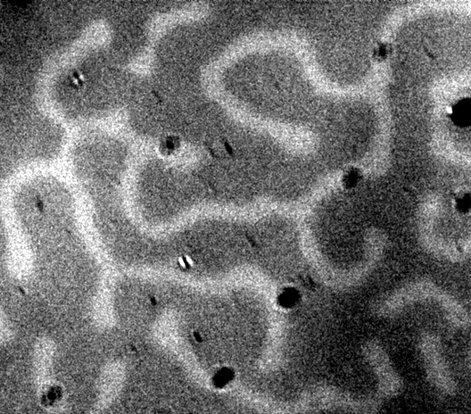 Experimental Results Of Magnetic Domain Imaging
