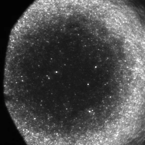 Rhodamine 6g, Single Molecule Fluorescence Imaging