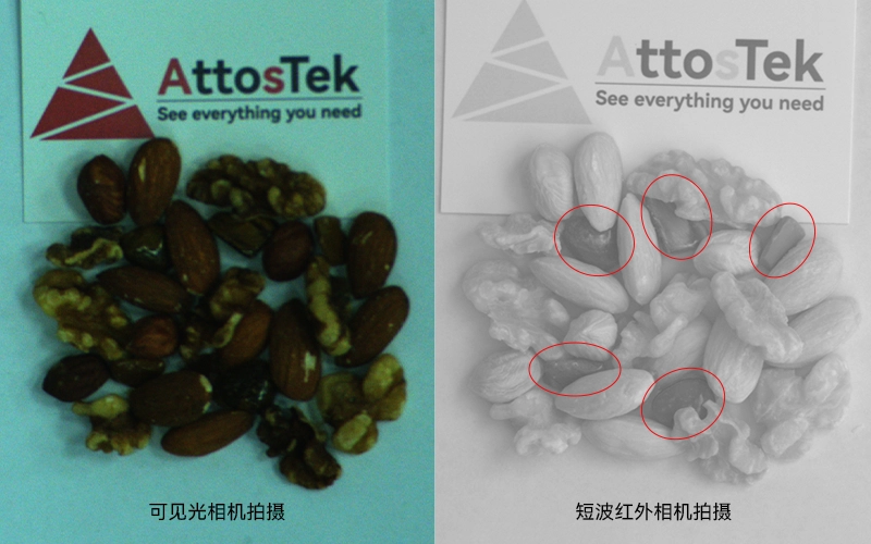 同色坚果和石子成像